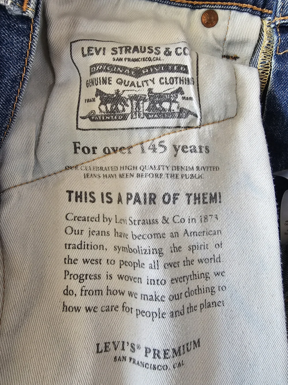 Vintage Y2K Levi’s 510‎ Skinny Jeans Men’s (Premium) 05510-0691 [SIZE 31x32]
